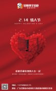 情人節(jié)|愛(ài)與美同時(shí)發(fā)生 是雀躍不止 是無(wú)所替代